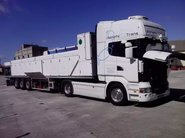 Videonadzorielektroinstalacije126 Videonadzorielektroinstalacije126