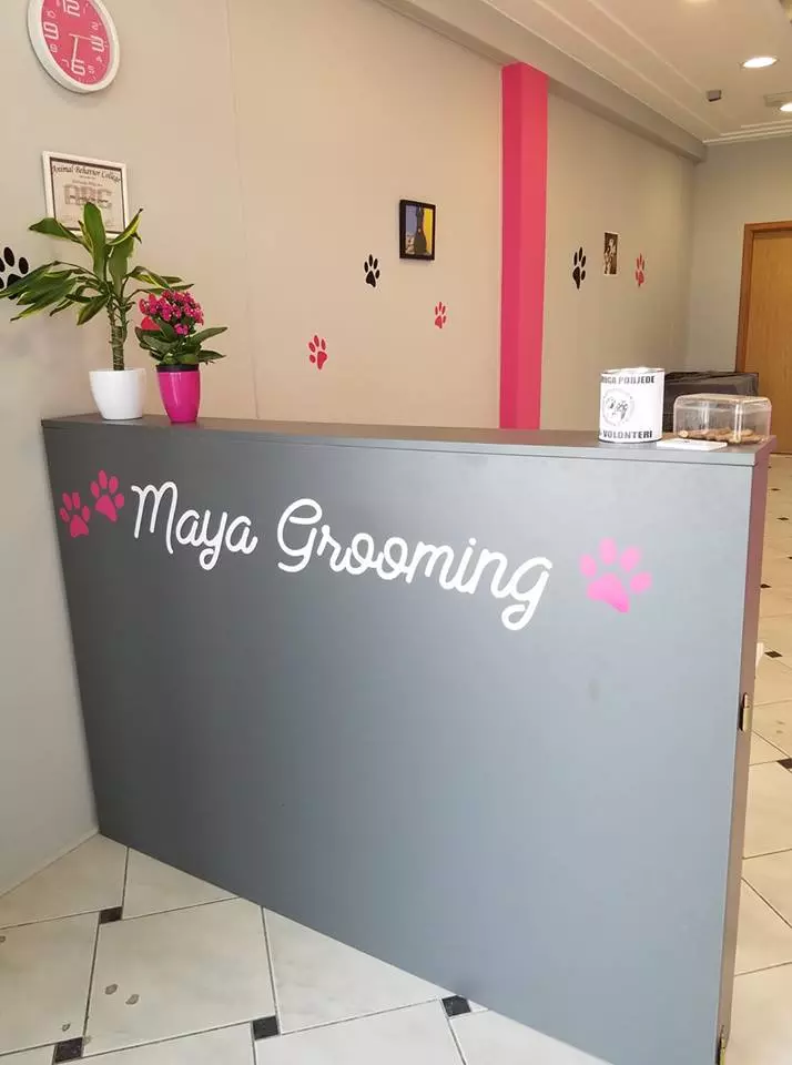 Visoki_standardi_rada