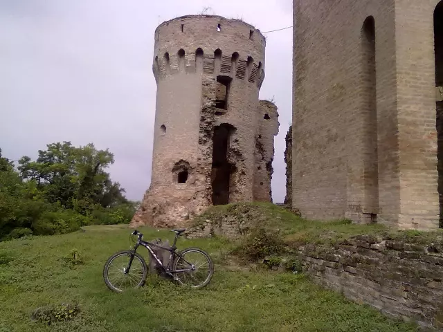 Voćarstvo,građevinarstvo,trgovinaiugostiteljstvo,Dalj3