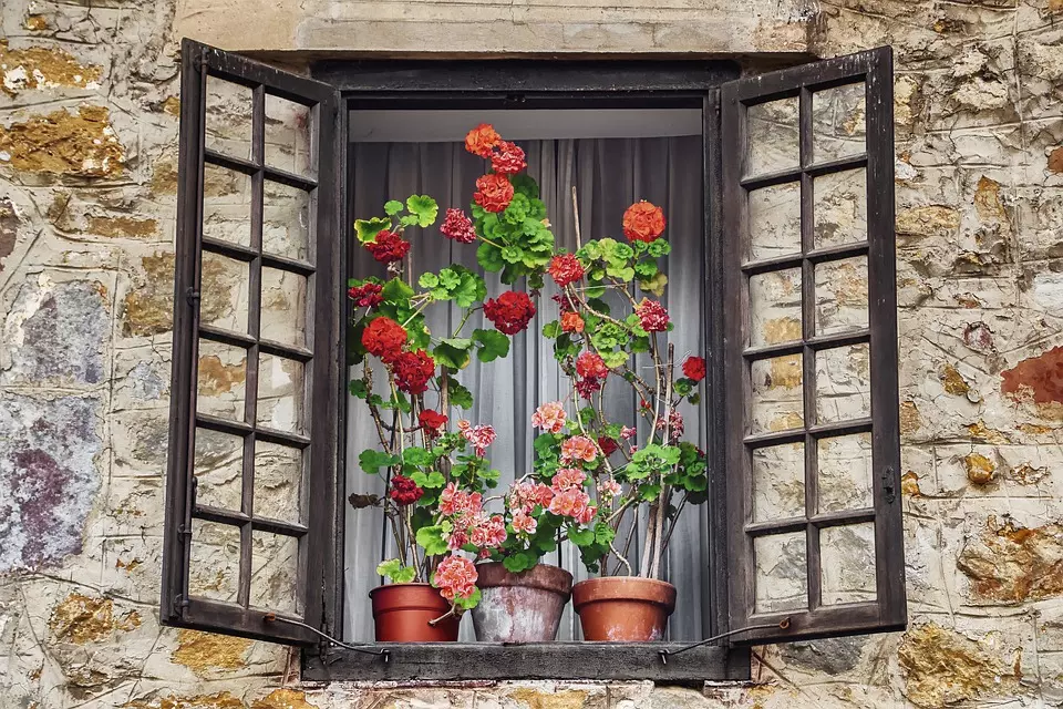 VrhunskaponudasvježegcvijećaPetrijanec3 VrhunskaponudasvježegcvijećaPetrijanec3