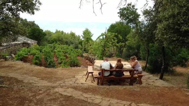 Vrhunskavinaihranaukonobi,Jelsa,Hvar