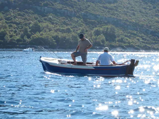 Vrhunskiapartmanskismještajimediteranskakuhinja,Ugljan Vrhunskiapartmanskismještajimediteranskakuhinja,Ugljan