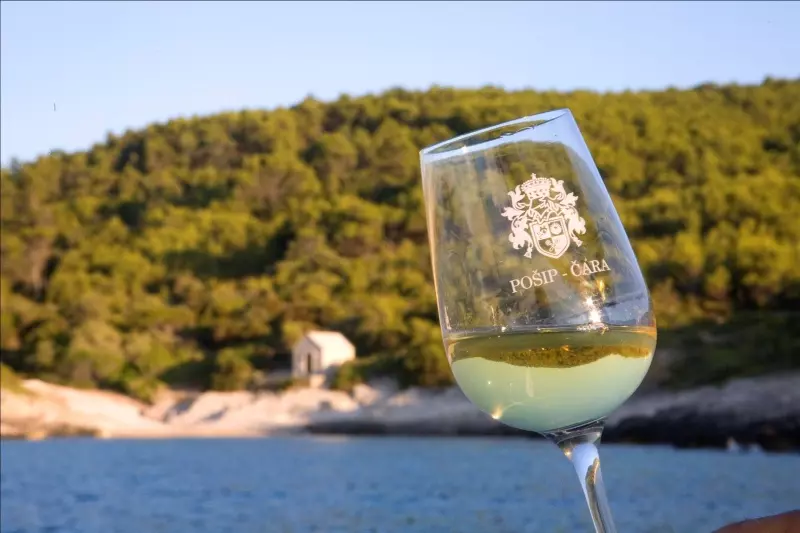 Vrhunsko_misno_vino_Pošip_Dubrovačke_biskupije3 Vrhunsko_misno_vino_Pošip_Dubrovačke_biskupije3