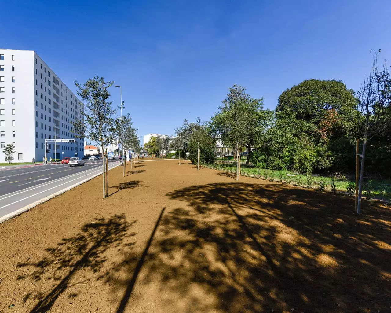 Projektiranje, izvođenje, uređenje i održavanje krajolika, u Zadarskoj