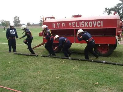 Zaštitaljudiiimovine,Darda3