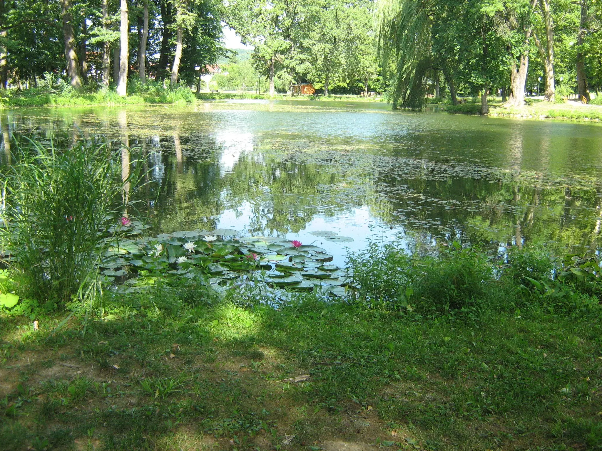 Zaštitaokoliša,Zaprešić