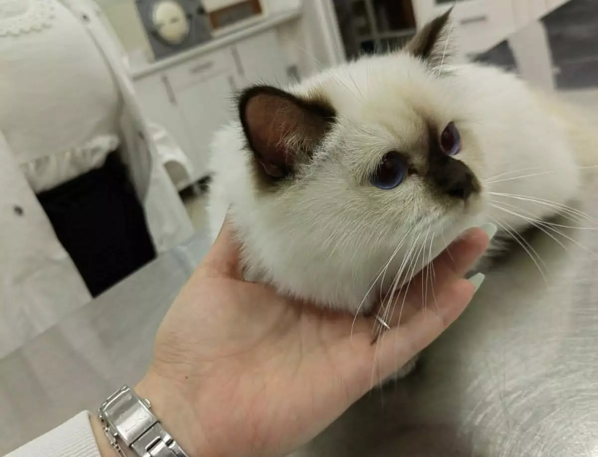 Veterinarska stanica Zenivet u Zenici
