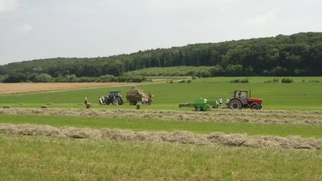 Znanstvenoistraživačkadjelatnost,Križevci
