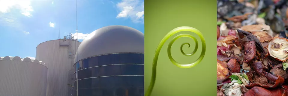 agroproteinka-energija