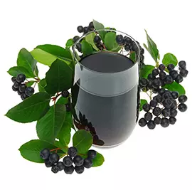 aronia111 aronia111