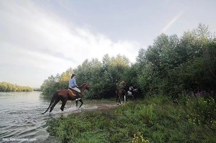 badvent666 badvent666