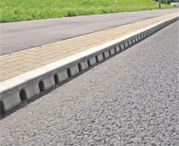 bioforest1 bioforest1