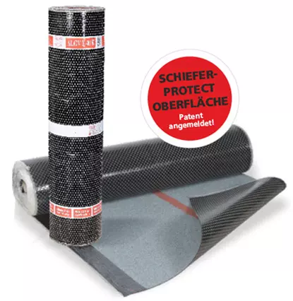 busscher_2 busscher_2