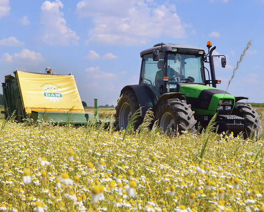 dam-naslovna dam-naslovna