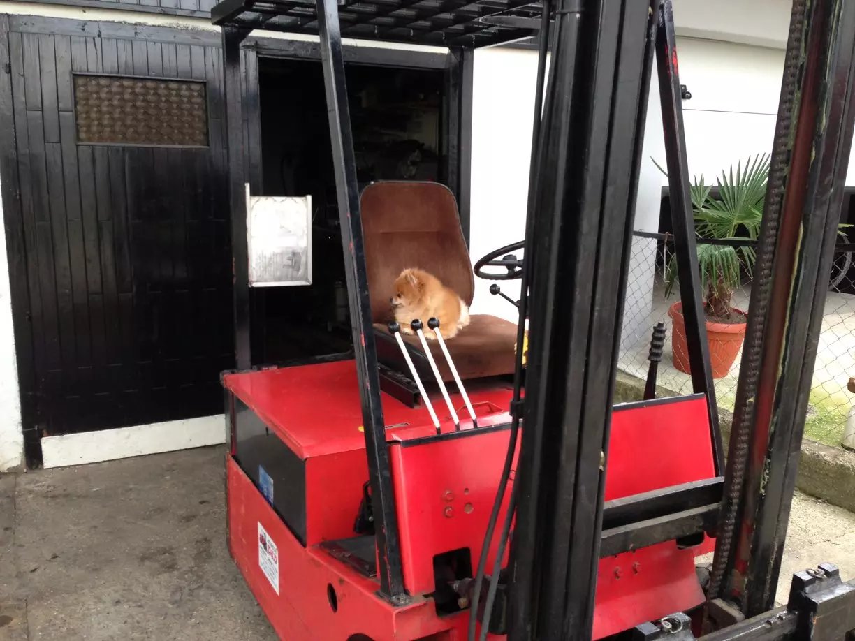 dd_servis_vilicara_12