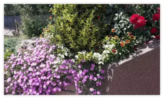 dom_matijevic2 dom_matijevic2