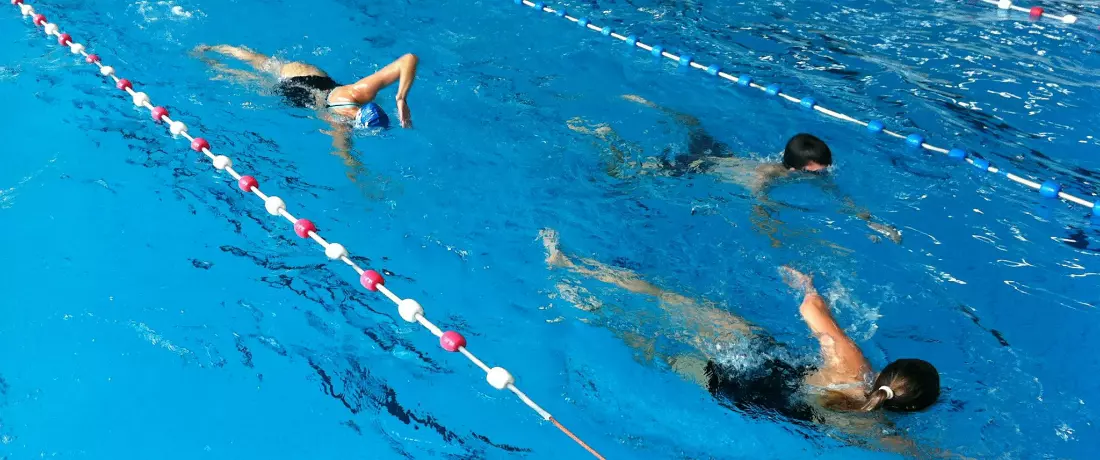 drazenovic11 drazenovic11