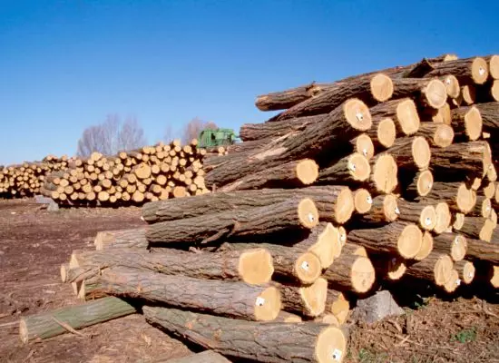 drvosped333 drvosped333