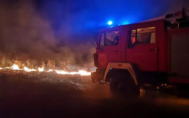 dvdtenja-1 dvdtenja-1