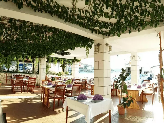 galija_2222 galija_2222