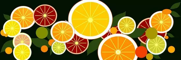 Kompletni ginekološki pregledi, Split