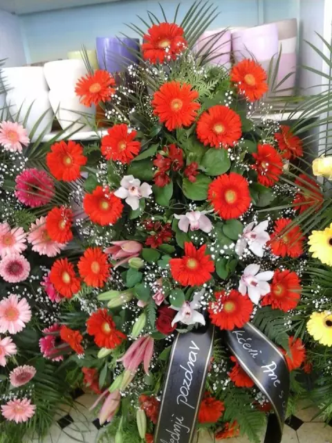 Prodaja i dostava cvijeća Daruvar u RH