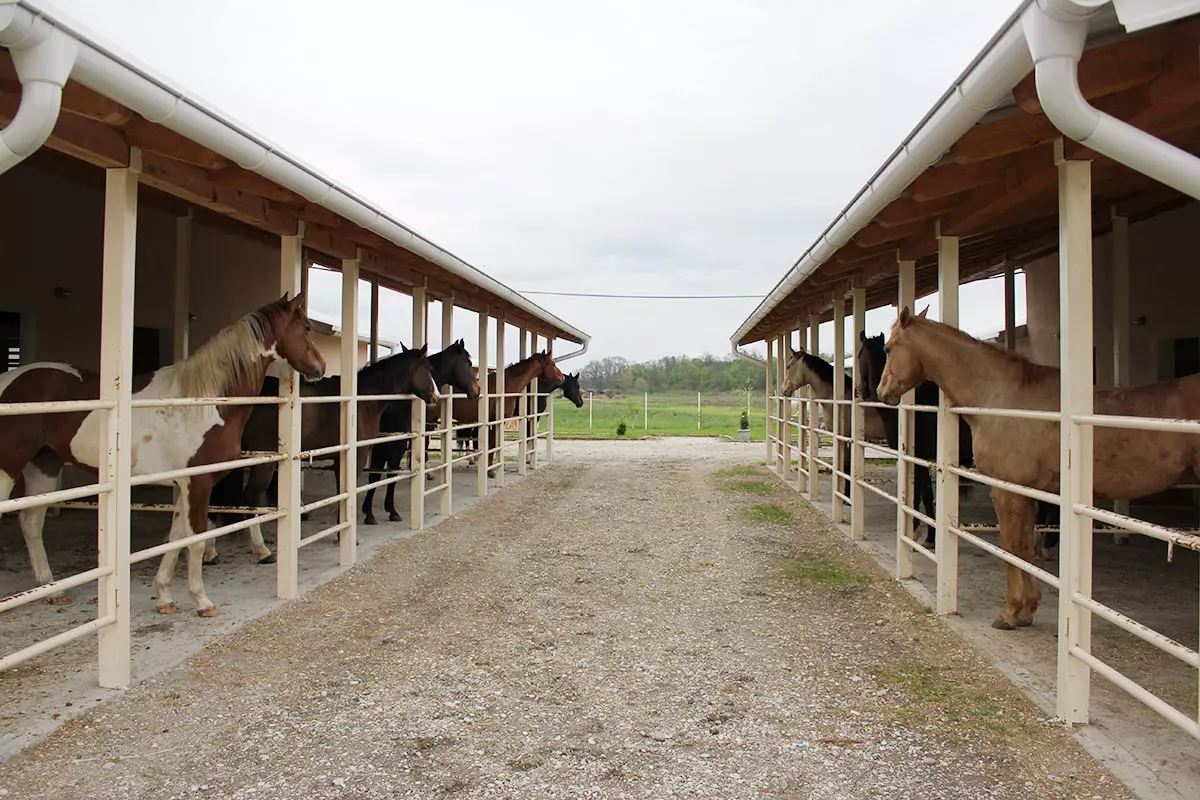 jkranch1111 jkranch1111