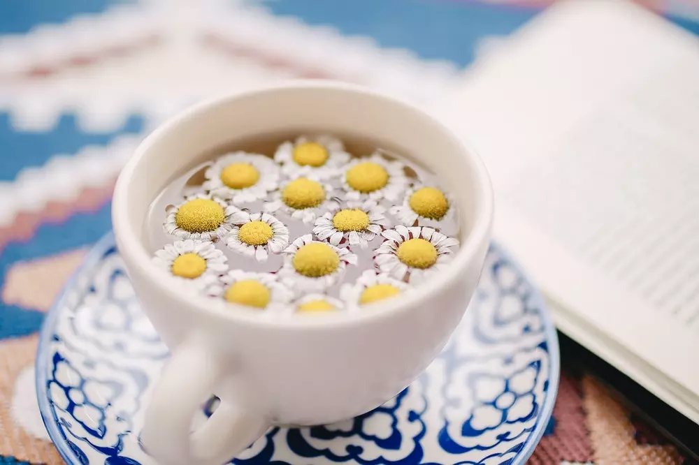 Prodaja ekološke kamilice Oriovac