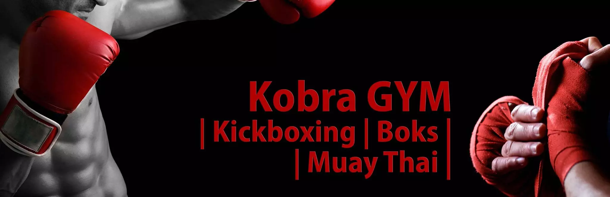 kobra-naslovna2 kobra-naslovna2