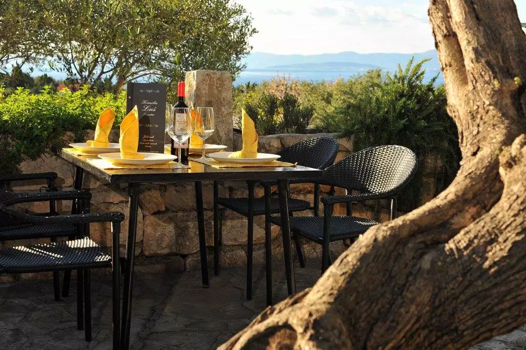 konobalus-1 konobalus-1