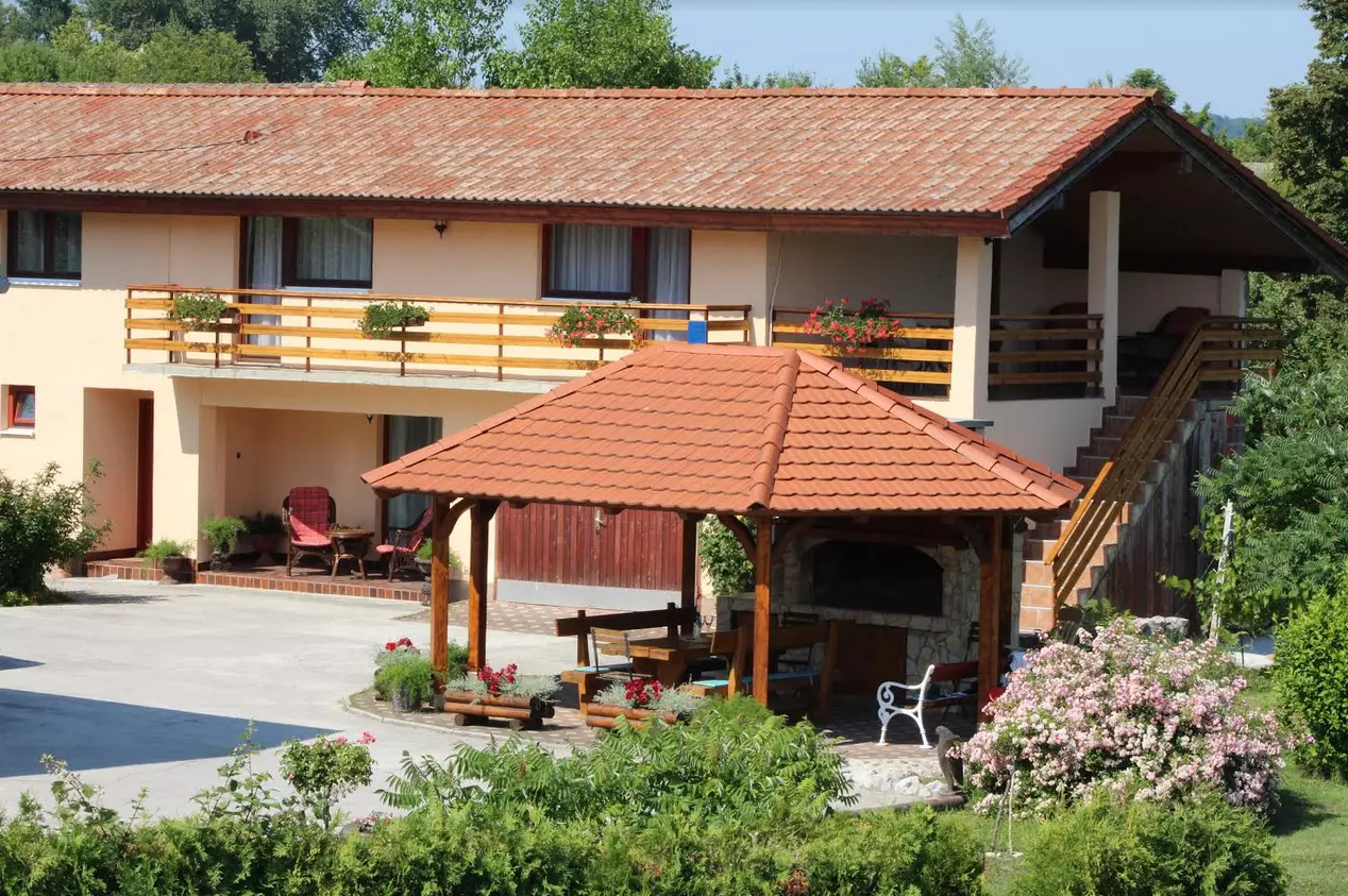 kozjan_111 kozjan_111