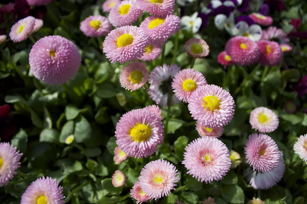 krajinovic_3333 krajinovic_3333