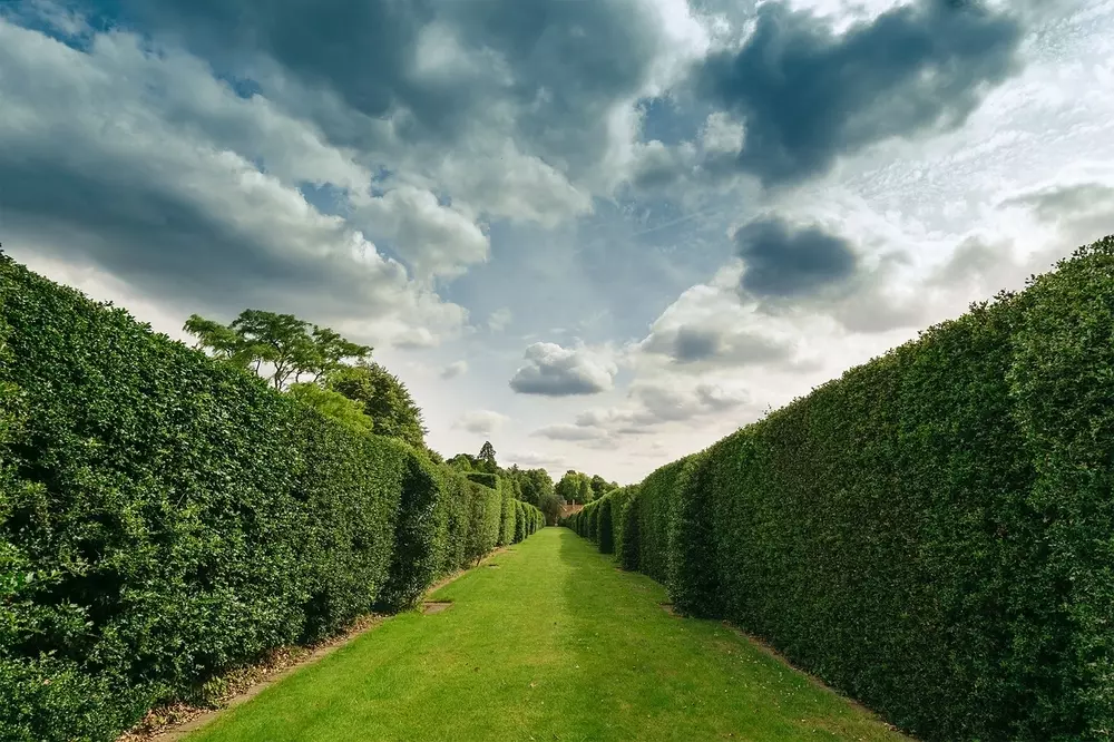 Uređenje okoliša i malčiranje, krajolik Uređenje okoliša i malčiranje u gradu Zagrebu