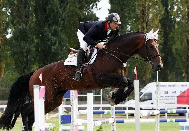 majerling-naslovna majerling-naslovna