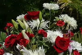 Usluge organizacije sprovoda Požega