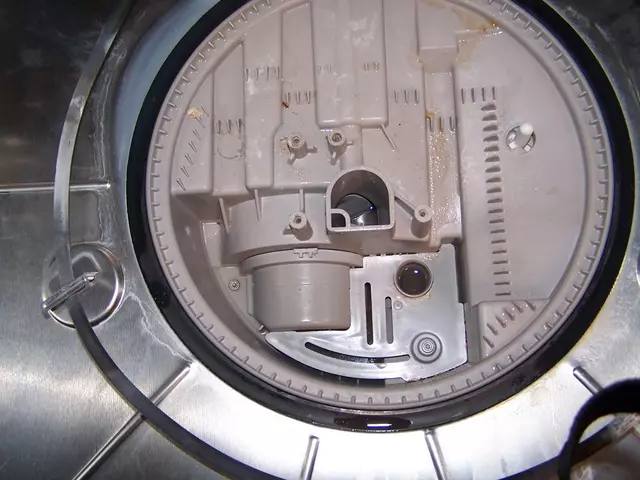 markovicobrt3 markovicobrt3