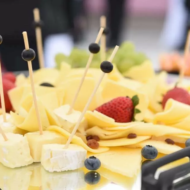 mika-9546794 mika-9546794