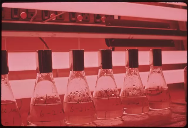 mikrobioloska_kontrola4