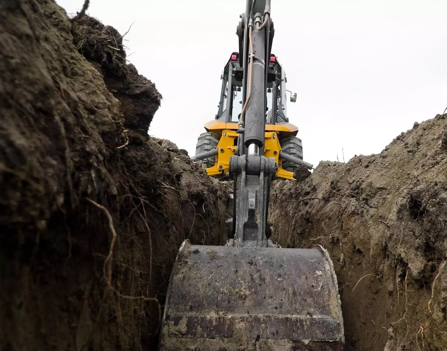 monte-naslovna monte-naslovna