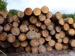 novakomp111 novakomp111