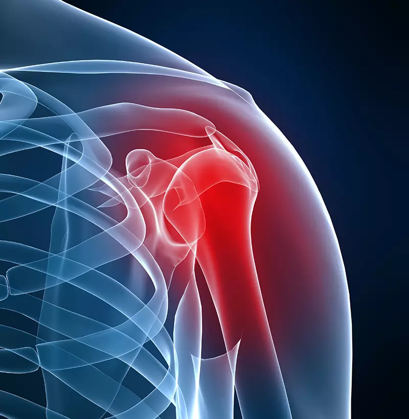 novusmed_11 novusmed_11