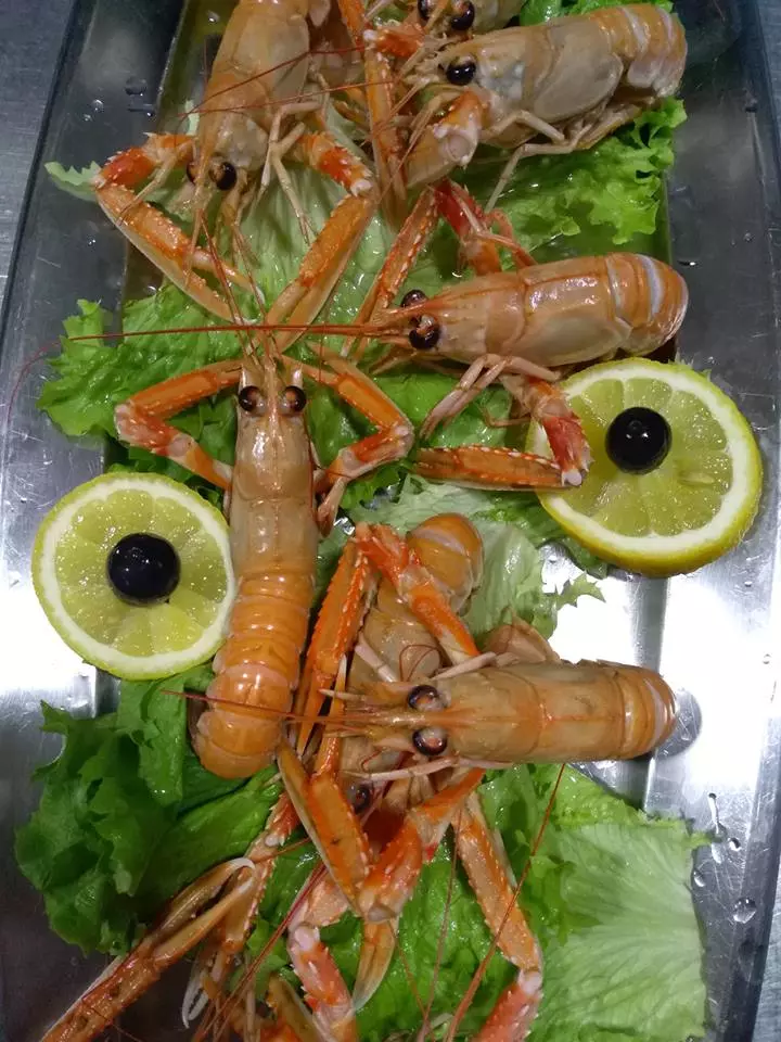 ojdanic22222 ojdanic22222