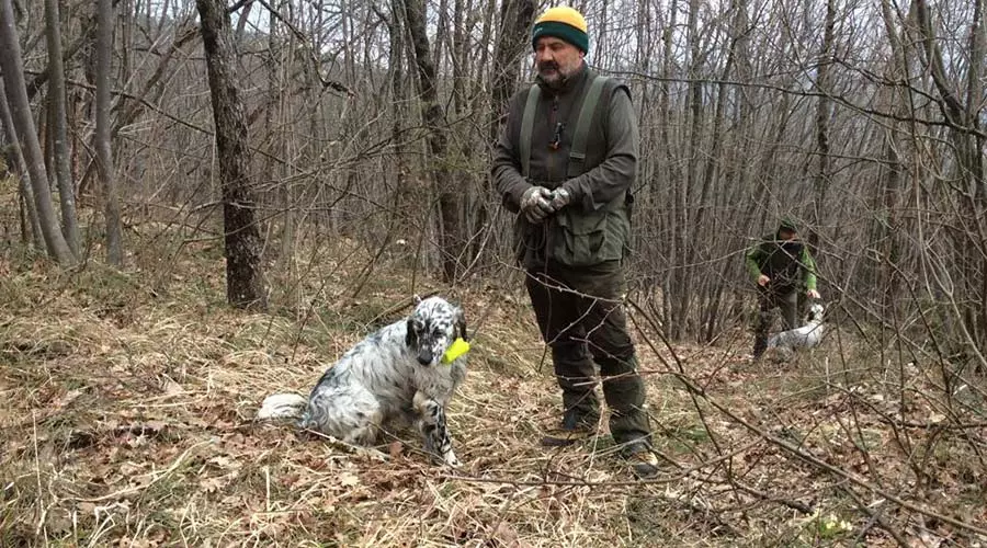 Turizam i caffe bar Lovni turizam i caffe bar u Kaštel Lukšiću, RH