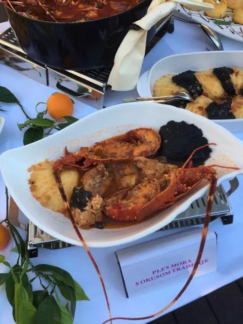 paladini11 paladini11