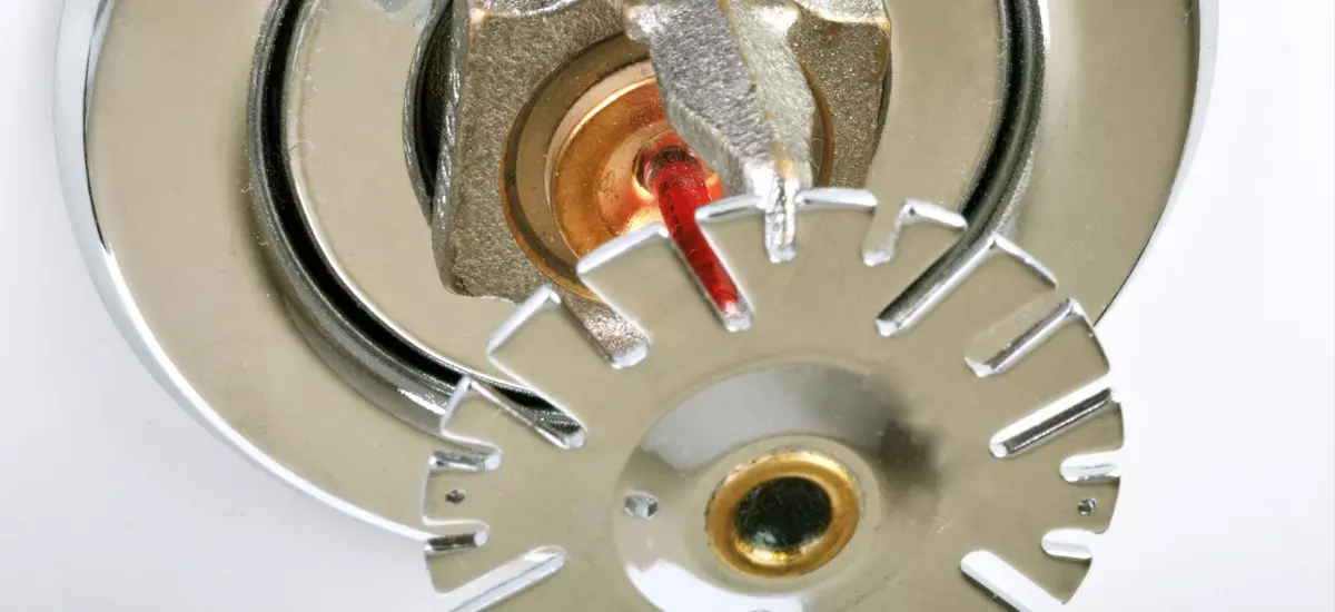 pastorino111 pastorino111