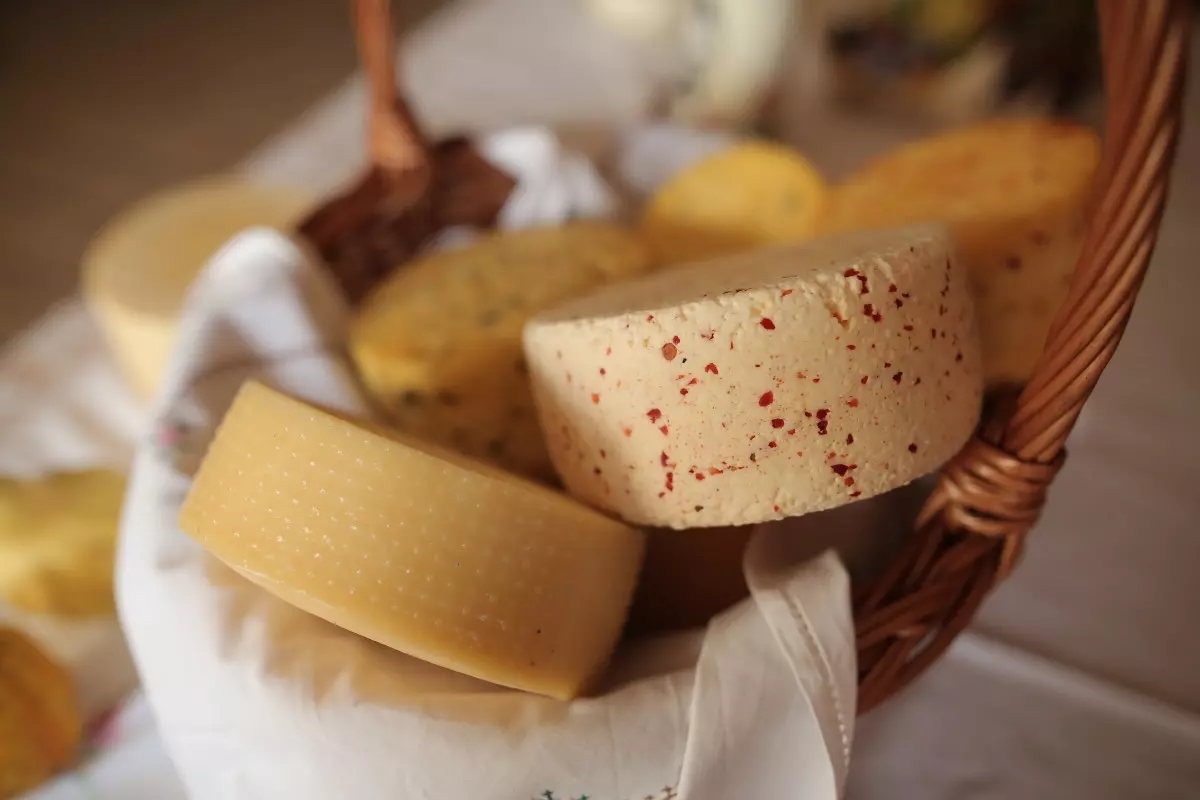 pranjic_11 pranjic_11