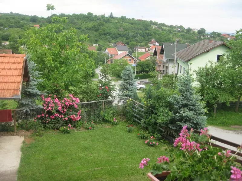 pripunic8888 pripunic8888