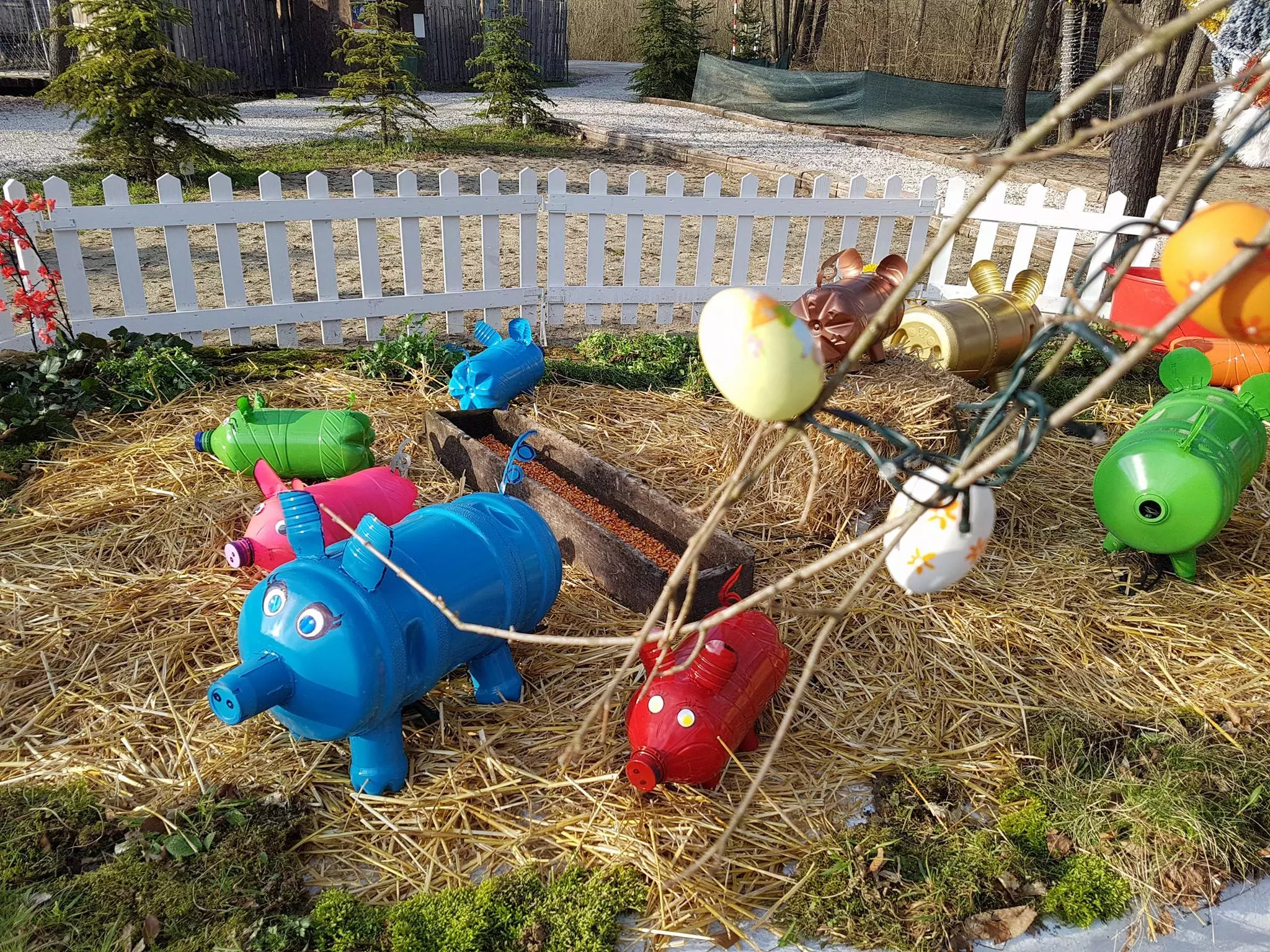 salajland_333 salajland_333