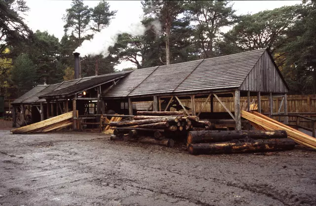 Piljenje trupaca i dasaka Stupno, Hrvatska