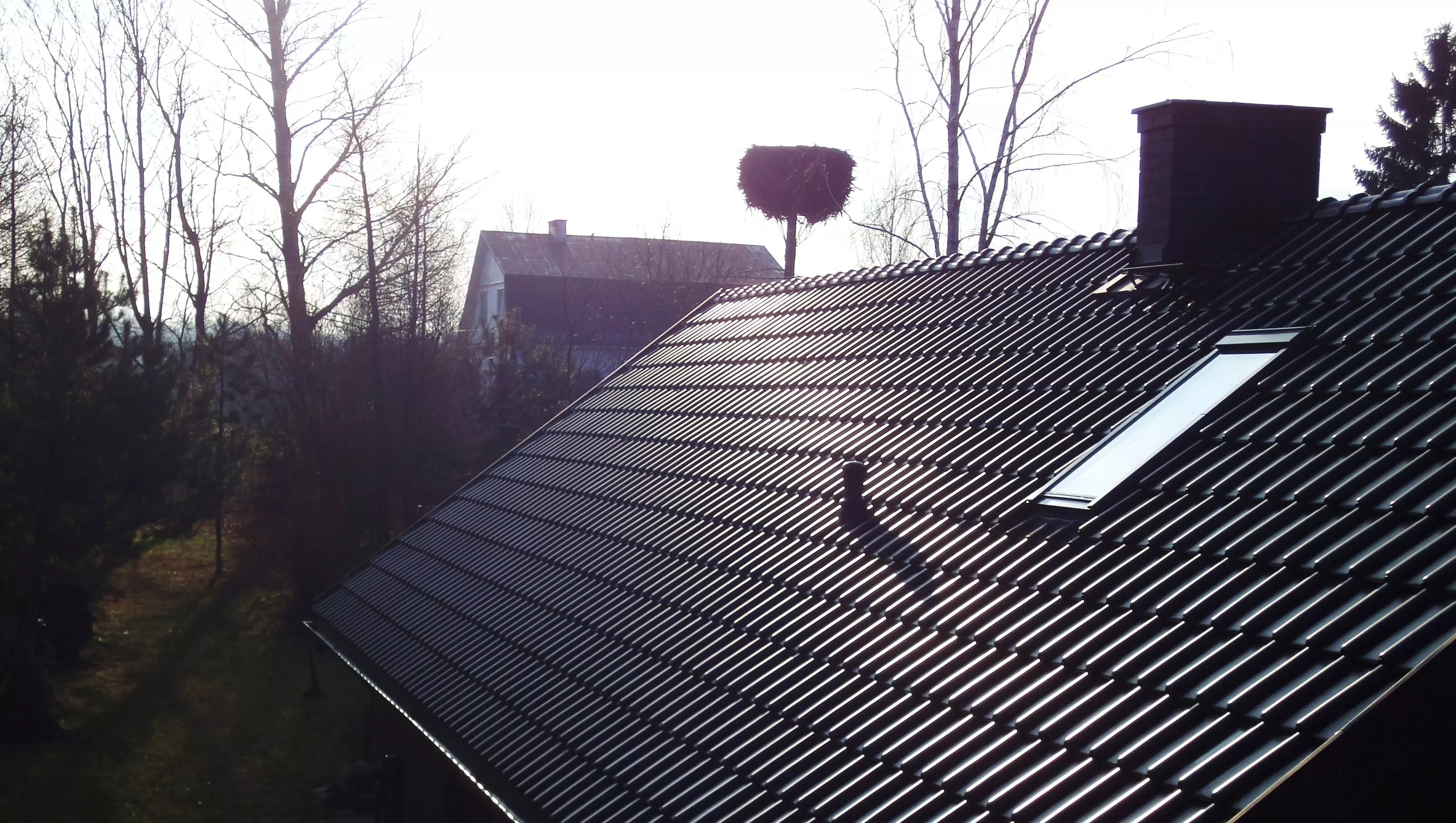 skimi_33333 skimi_33333